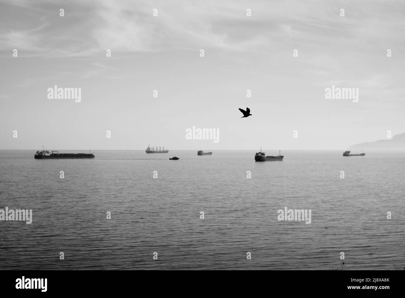 A monochrome photo of the cargo ships in the open sea Stock Photo