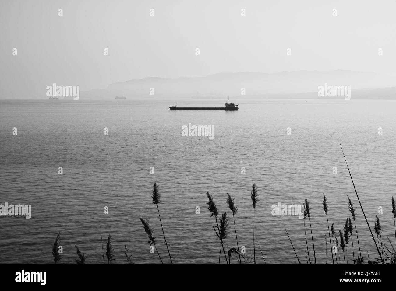 A black and white photo of a cargo ship in the sea Stock Photo