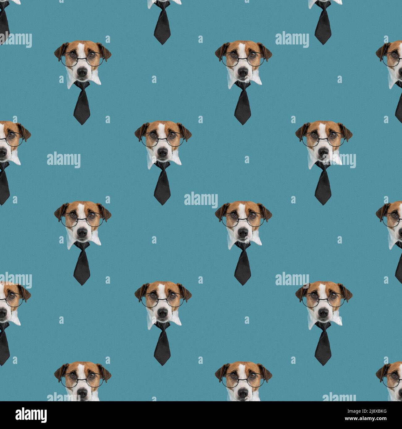 Muzzle of a Jack Russell Terrier dog with glasses and a tie on a blue