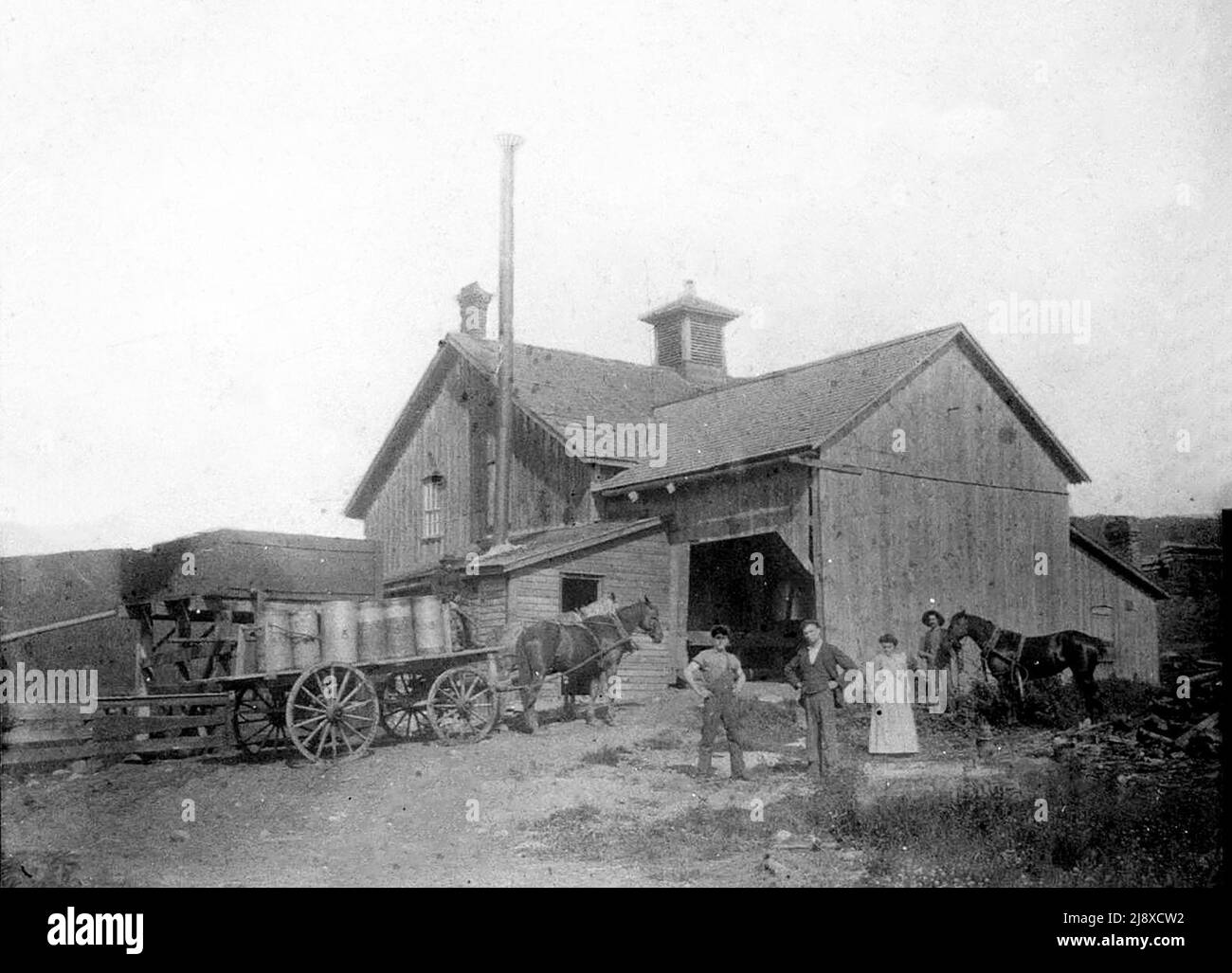 Horses harnessed to a cart loaded with milk outside an unidentified cheese factory in Ontario