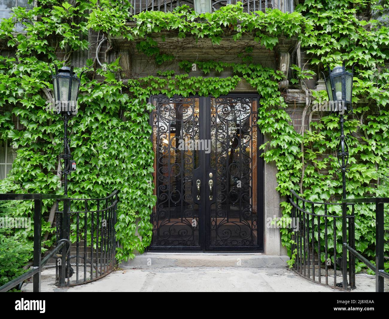 Entrance to ivy covered building Stock Photo