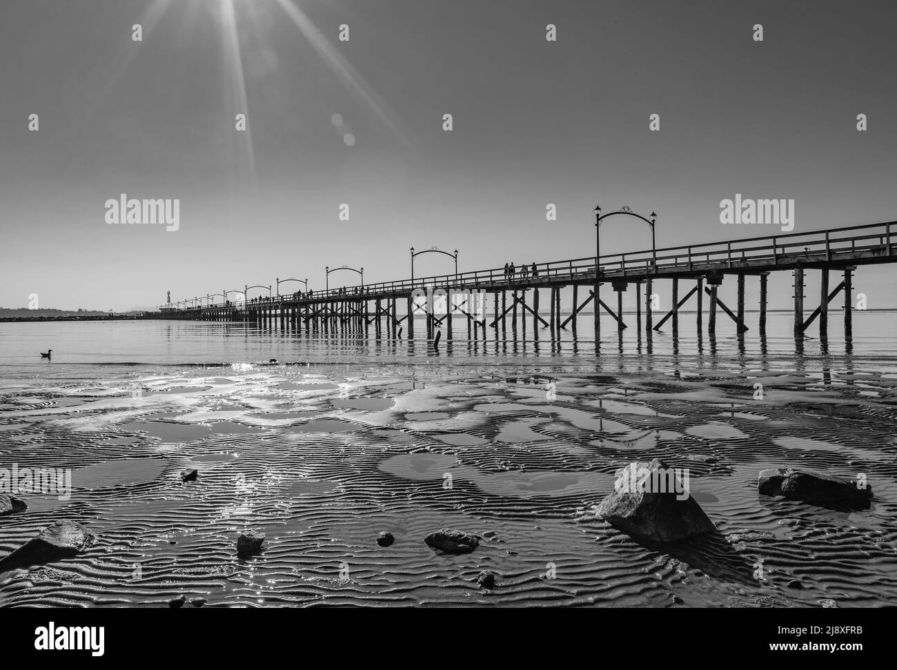 Wooden pier at White Rock, BC extends diagonally into image. Twinkling lights reflected in the sea. Black and white image: Beach and pier at sunset, S Stock Photo