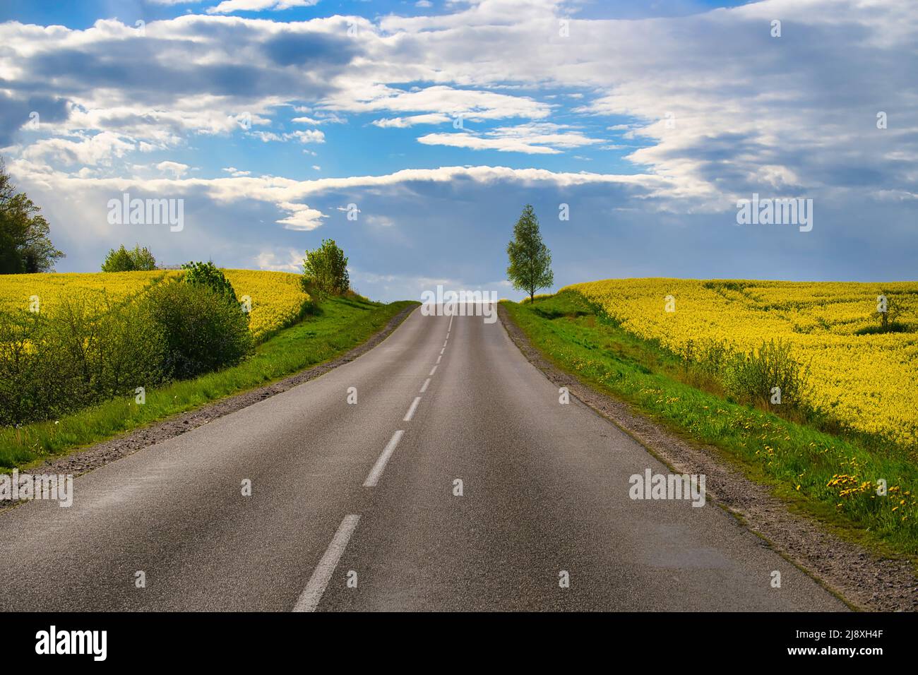 Empty asphalt road through picturesque countryside landscape with ...