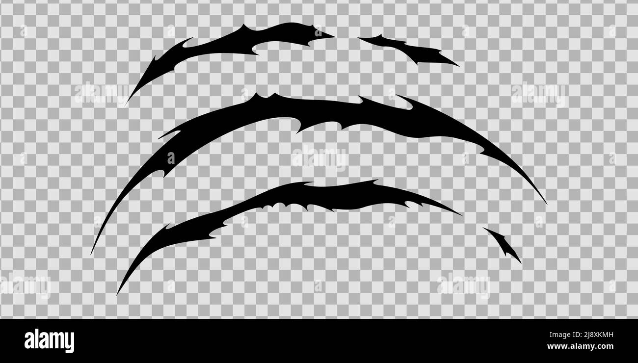 Claw scratches of wild animal. Cat scratches marks isolated in