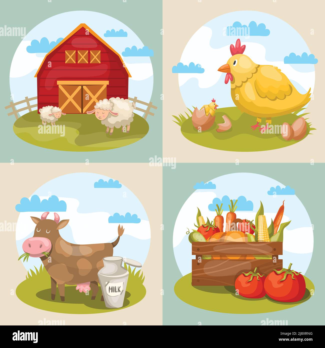 Four square compositions set with various cartoon farm symbols warehouse animals cow chicken lambs and vegetables vector illustration Stock Vector