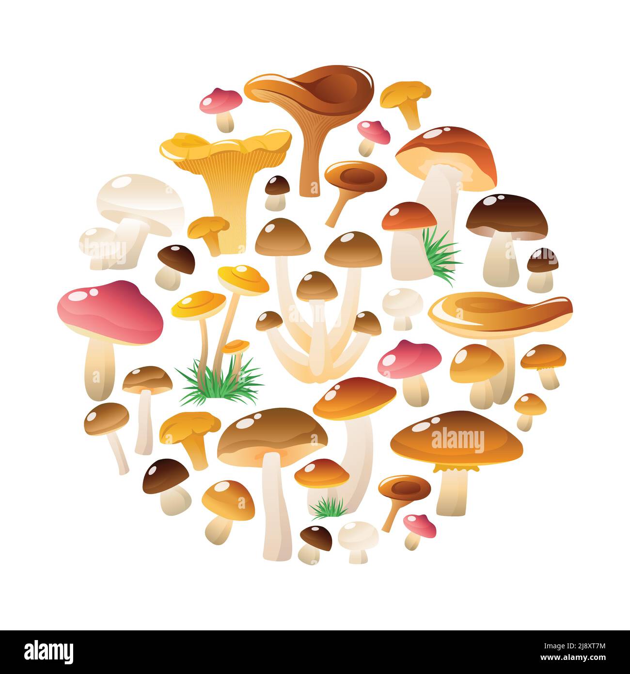 Composition of different wild mushrooms cartoon isolated symbols in a circle cloud on blank background vector illustration Stock Vector