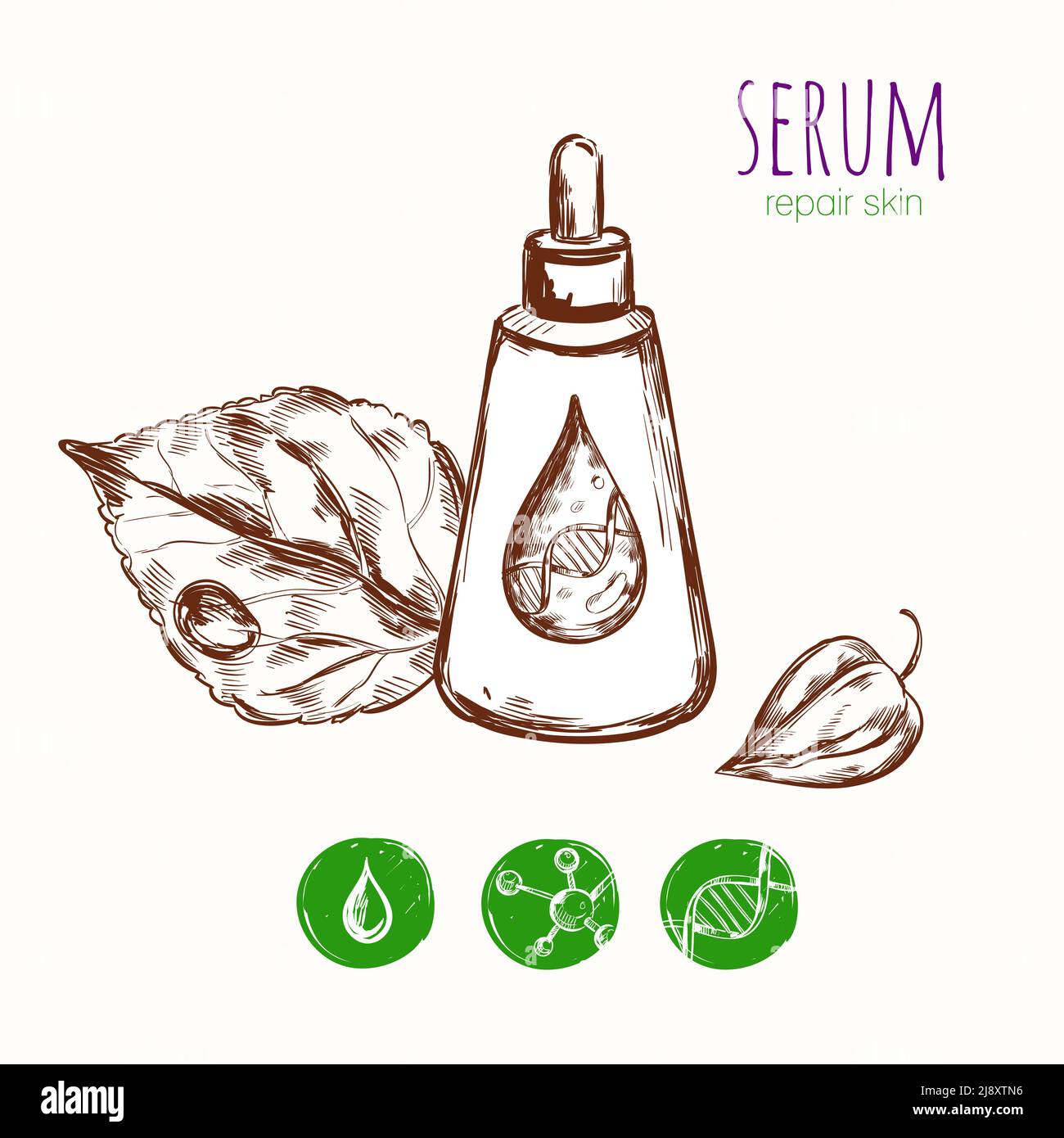 Serum cream skin repair concept with sketch images of package leaves detailed drop and molecule icons vector illustration Stock Vector