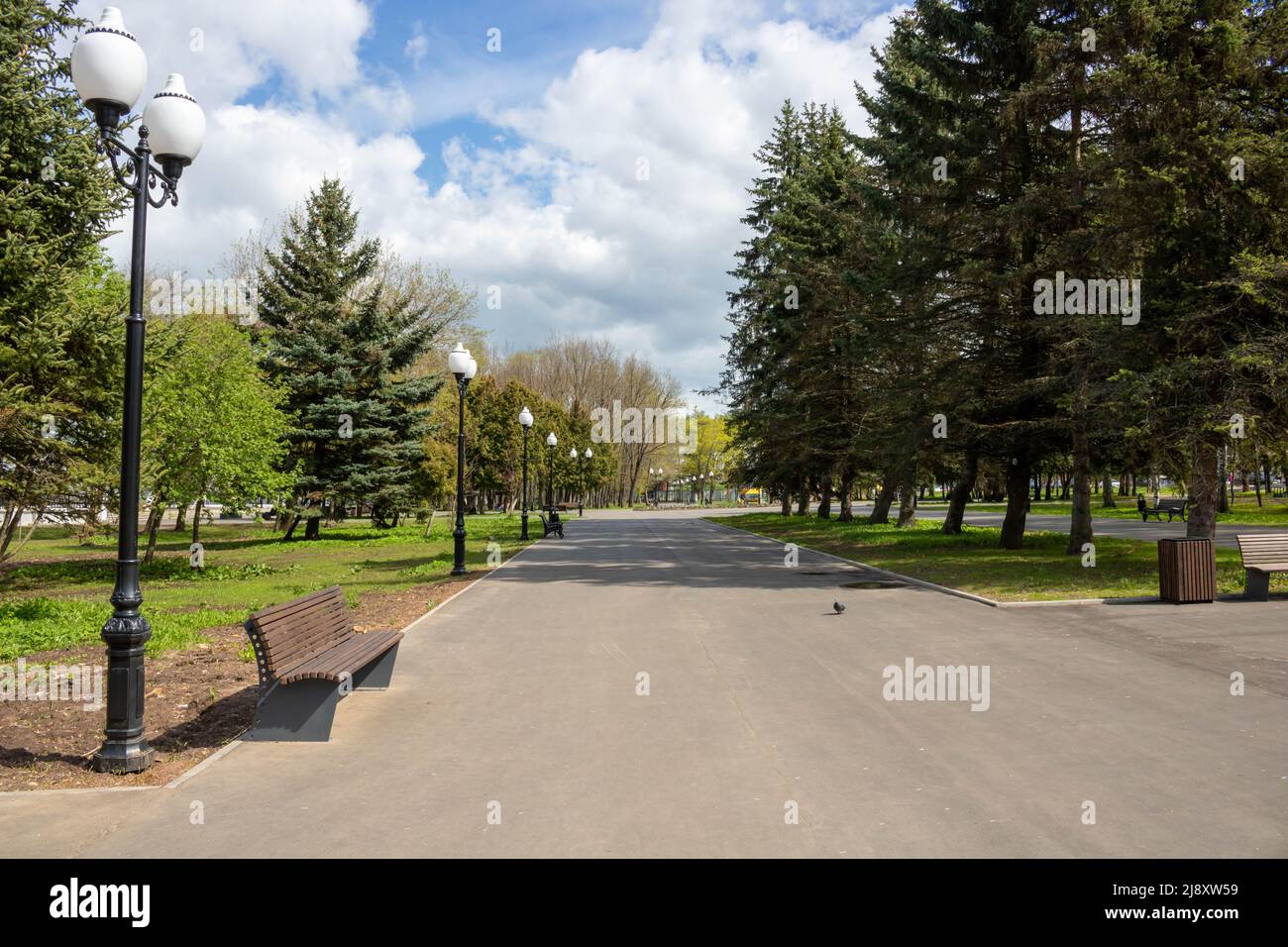 Spring alley on a bright sunny day.Park improvement. Stock Photo