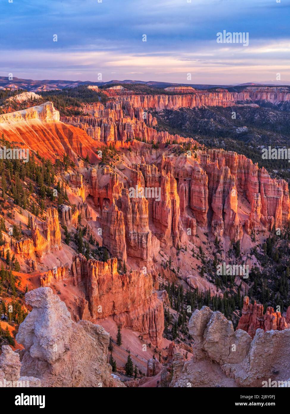 A long line of Pink Cliffs and hoodoos seen from Rainbow Point in Bryce Canyon National Park, Tropic, Utah. Stock Photo