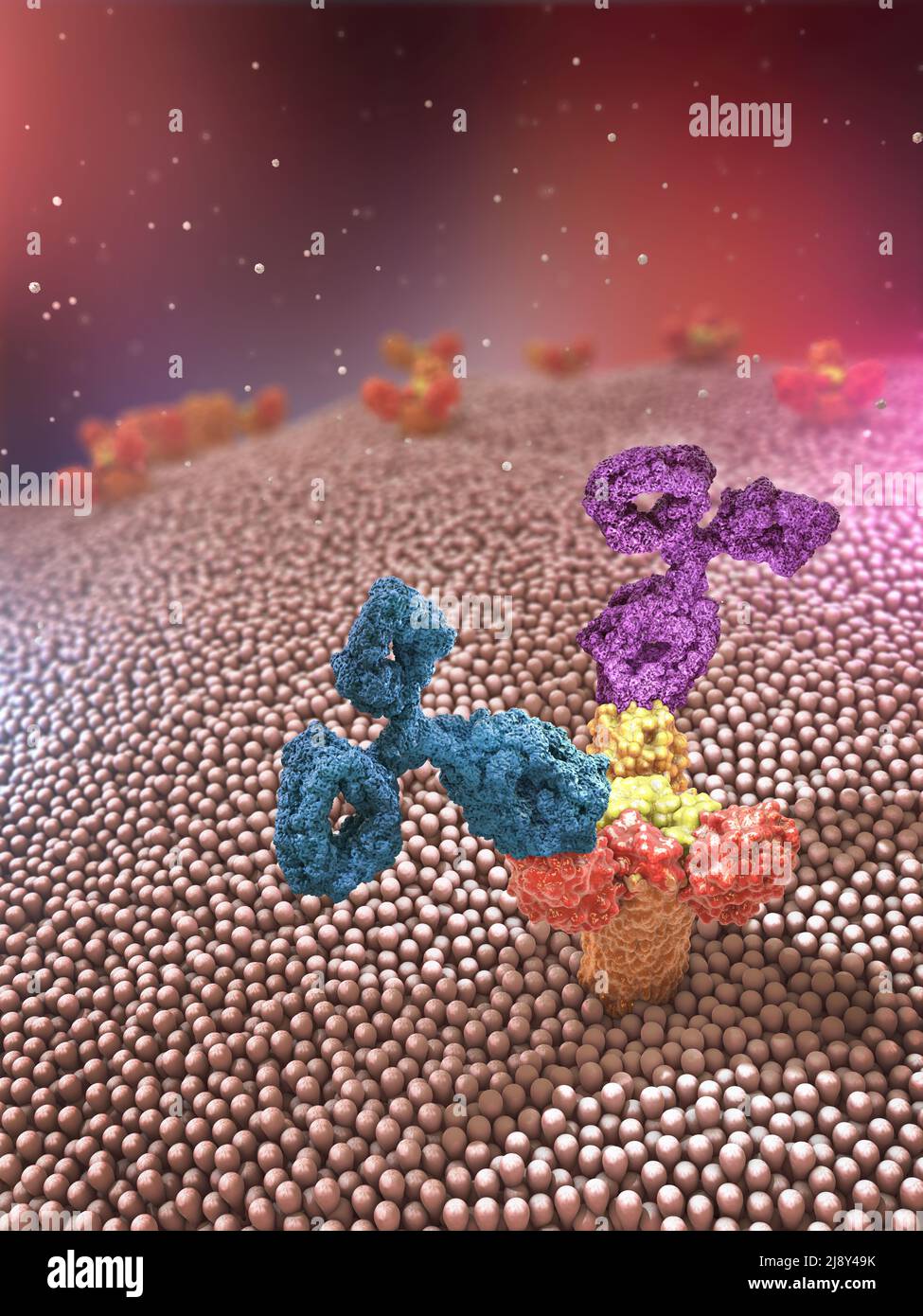 Multicolored antibodies or immunoglobulin protein structures attached to receptor- 3d illustration Stock Photo