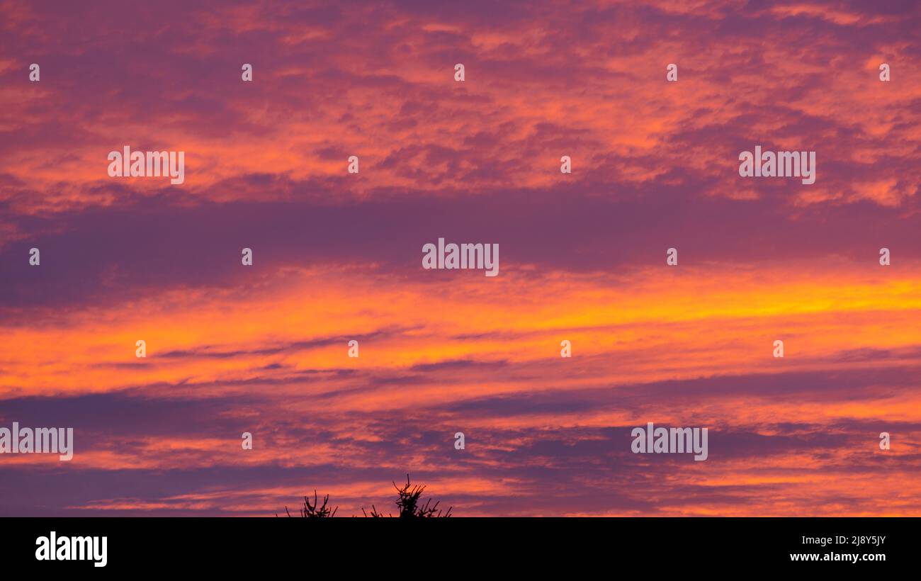 Background of orange and purple sky with clouds on sunset Stock Photo ...