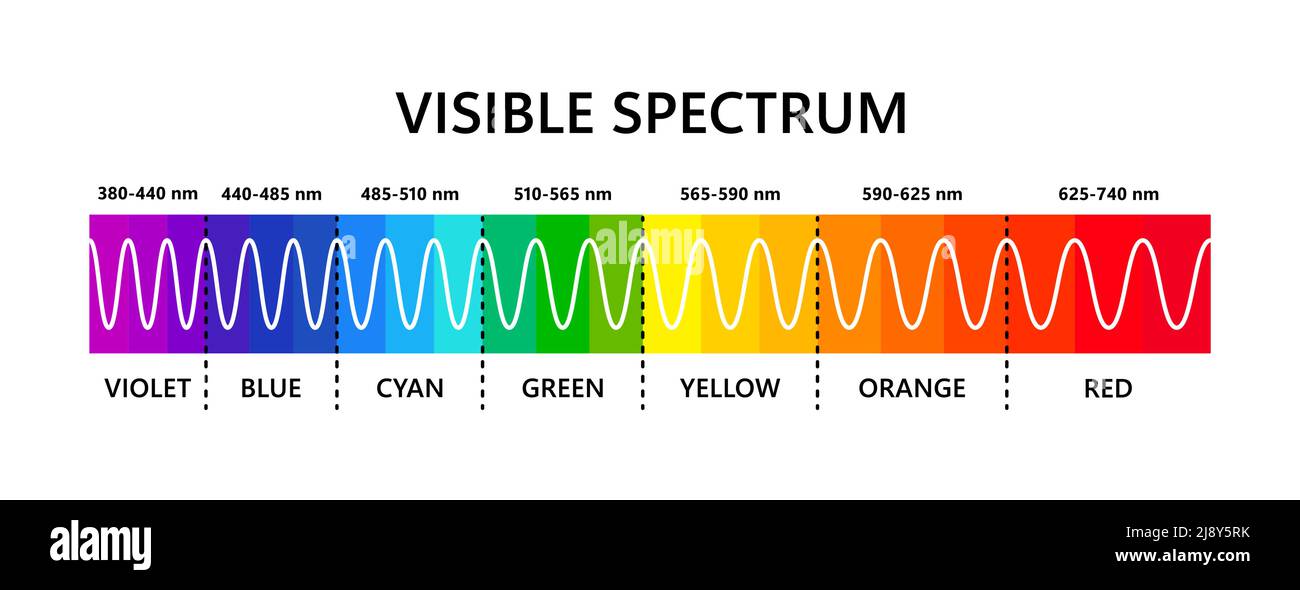 Visible light spectrum. Optical light wavelength.