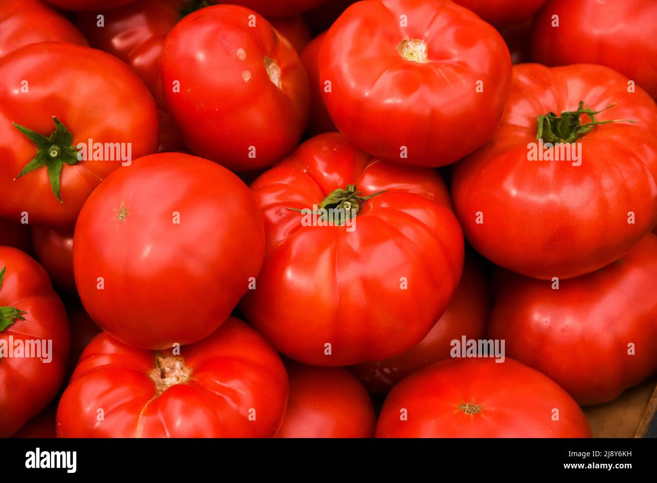 Tomatoes lying on a pile on top of each other, tomato texture. Selective focus. Stock Photo