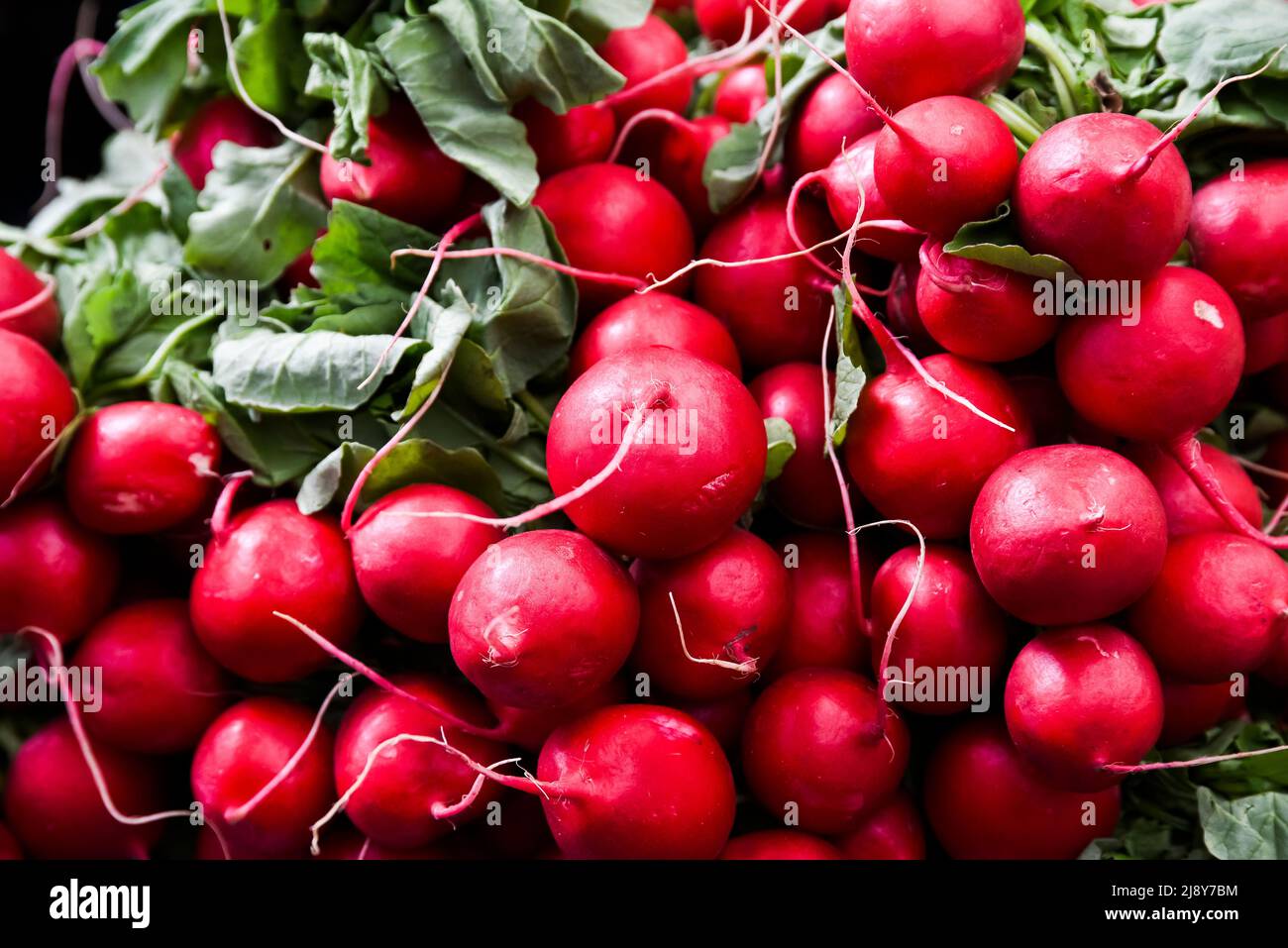 Premium Photo  Watercress salad radish knife on wooden board