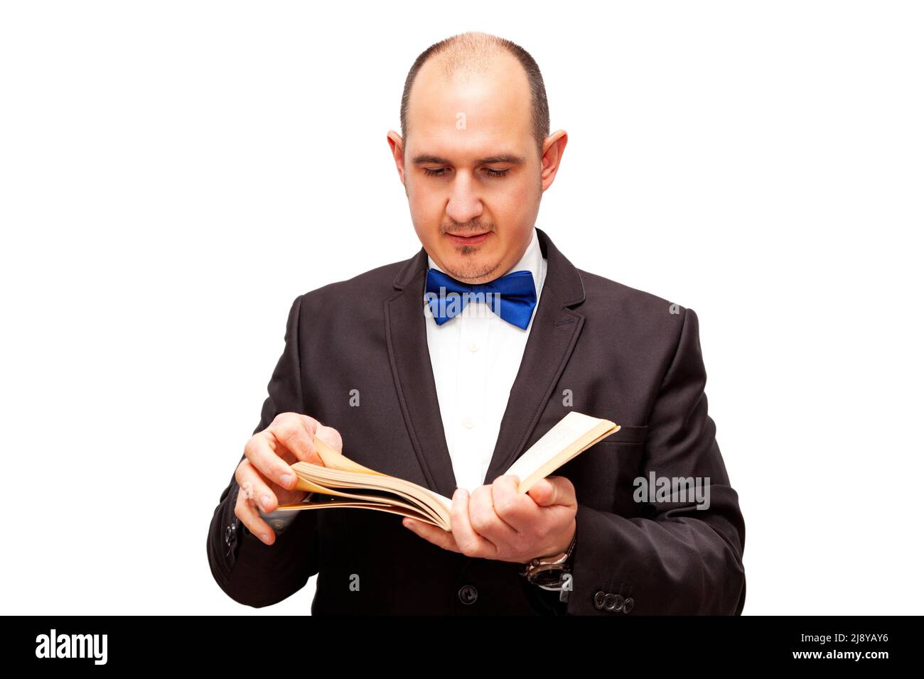 A bald Caucasian adult male dressed in a black suit, white shirt and blue bow tie is reading a book. The background is white. Stock Photo