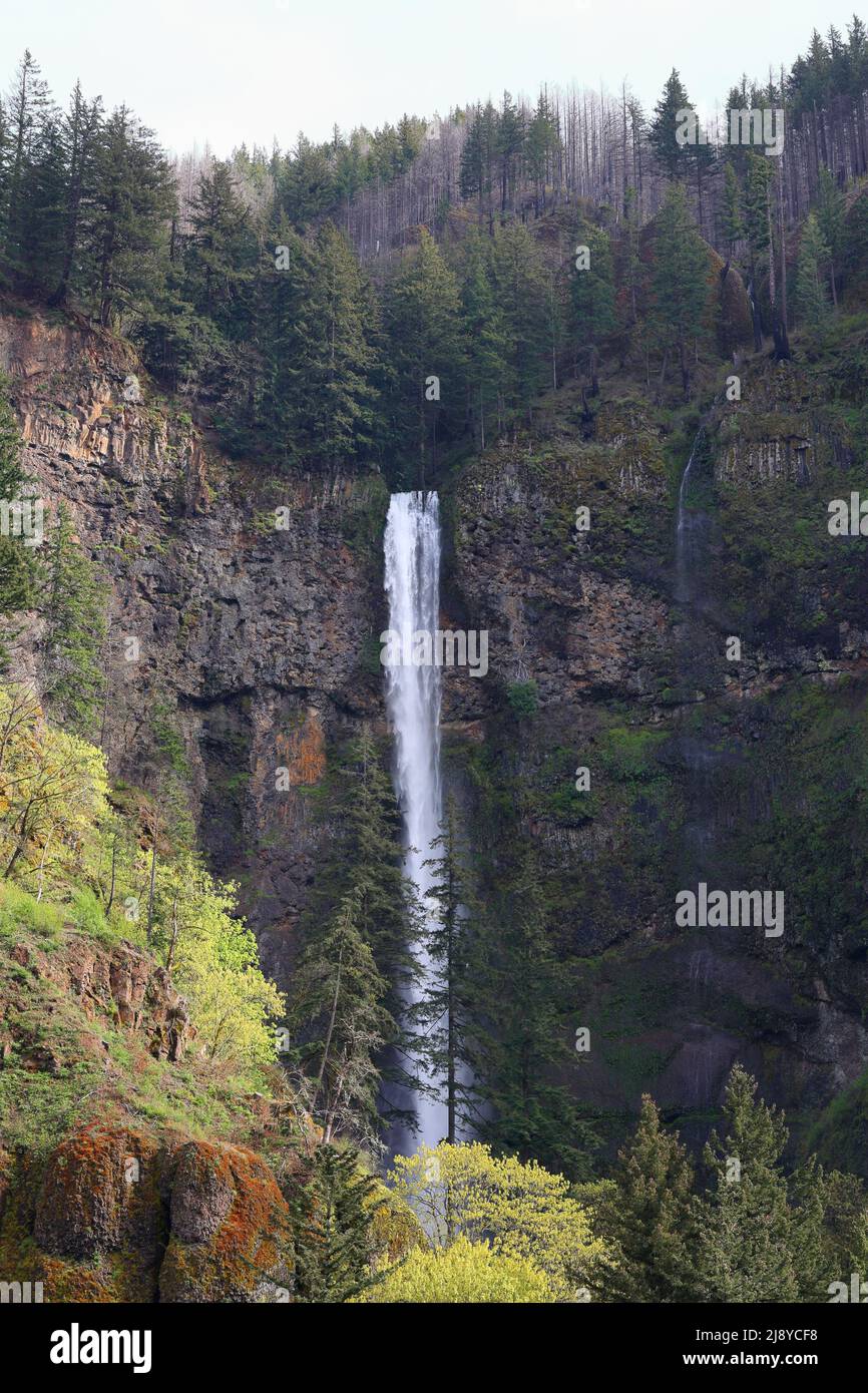 Multnomah Falls, Columbia River Gorge National Scenic Area, Oregon. The state's tallest waterfall with a 620 foot drop. Stock Photo