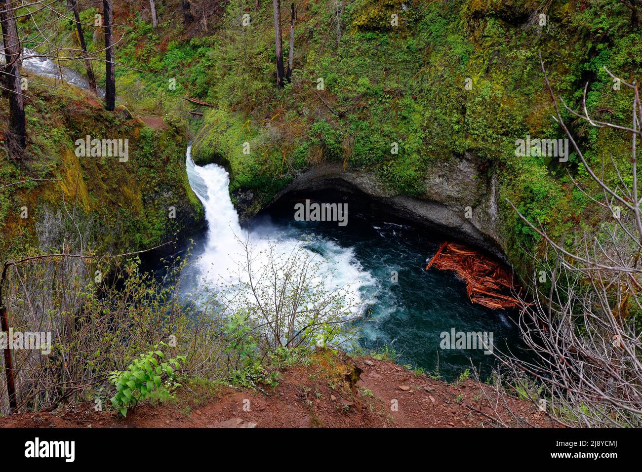 Punchbowl Falls, Eagle Creek in the Columbia River Gorge National Scenic Area, Oregon, May 3, 2022. The area is popular in the summertime for swimming Stock Photo