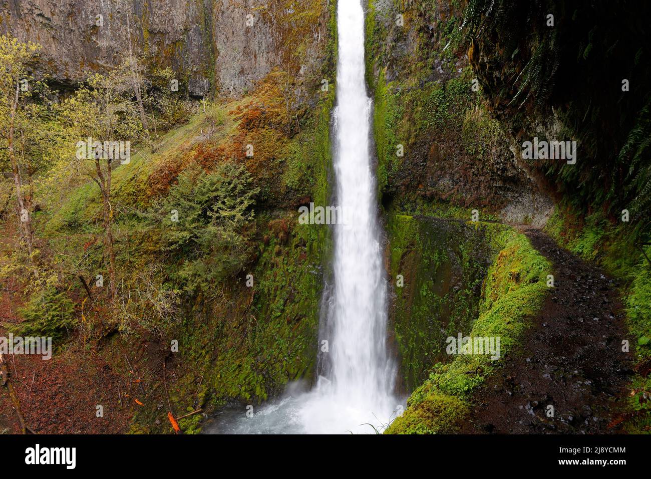 Eagle Creek Trail chiseled into the basalt cliff walls of Tunnels Falls