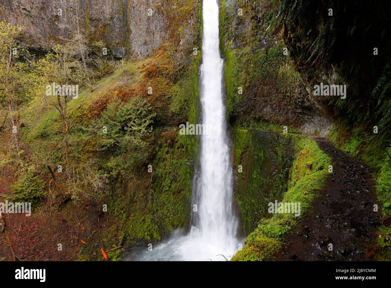 Eagle Creek Trail chiseled into the basalt cliff walls of Tunnels Falls in Columbia River Gorge National Scenic Area, Oregon. May 3, 2022. Stock Photo