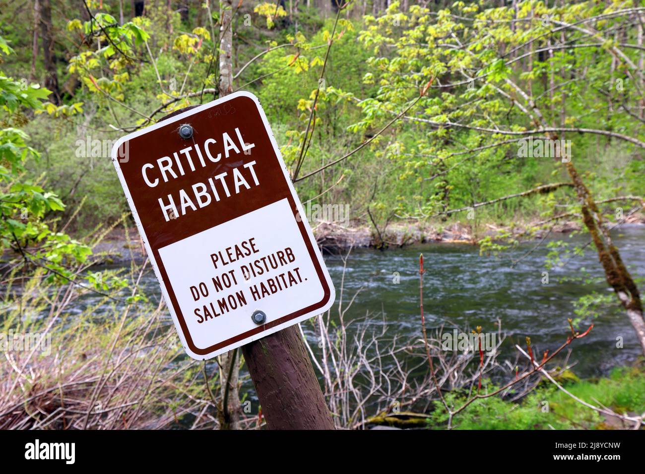 'Critical Habitat, Please Do Not Disturb Salmon Habitat' sign at Eagle Creek Campground in Columbia River Gorge National Scenic Area, Oregon. Stock Photo