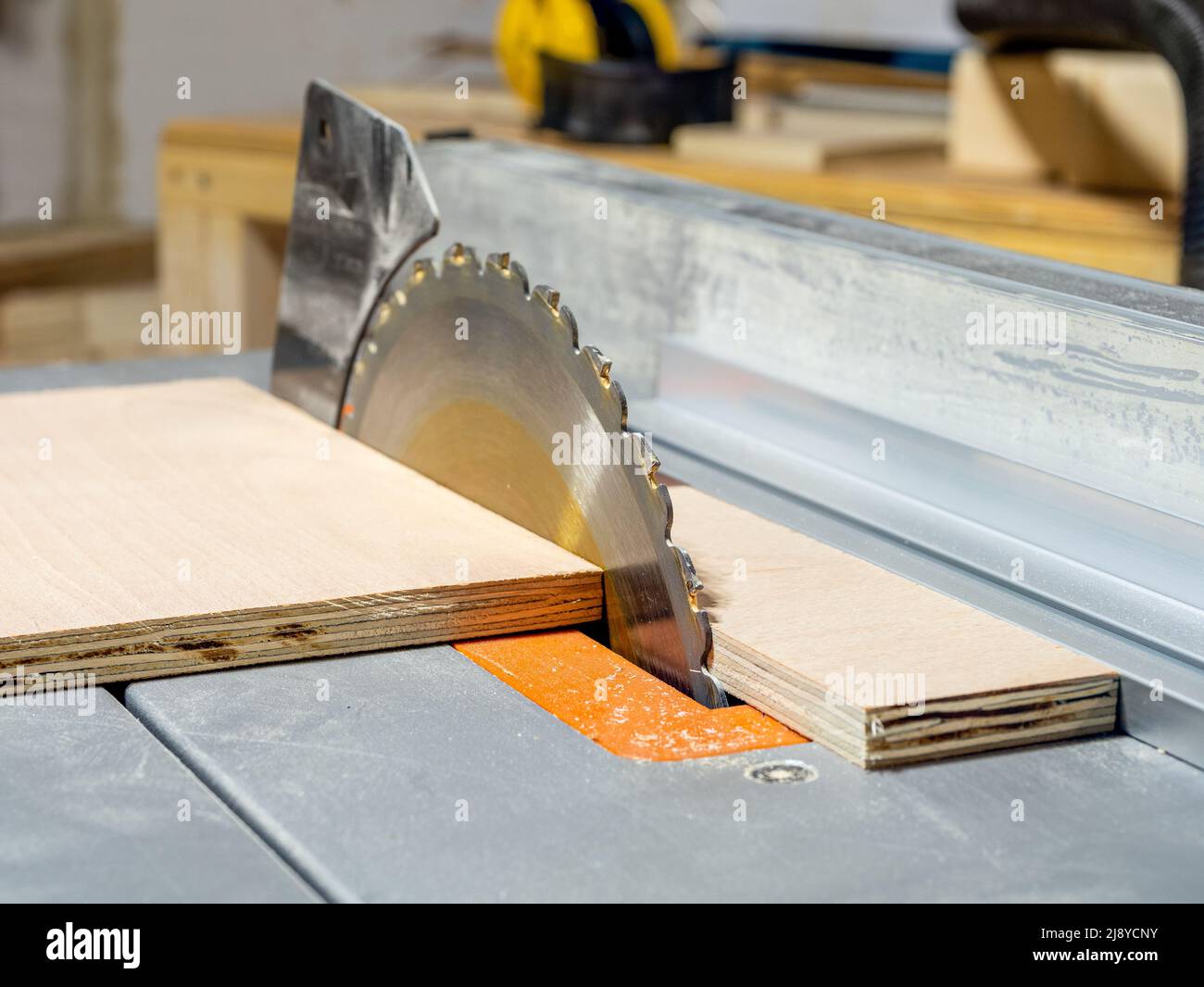 Close up of table saw circular blade cutting through a birch plywood sheet  selective focus on saw blade Stock Photo