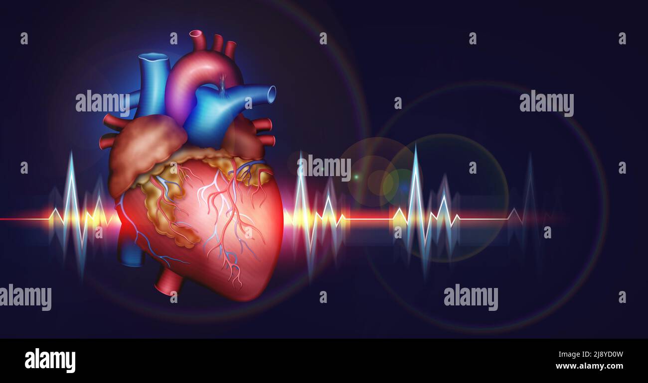 Human heart 3D illustration. Physical damage, heart attack, stress