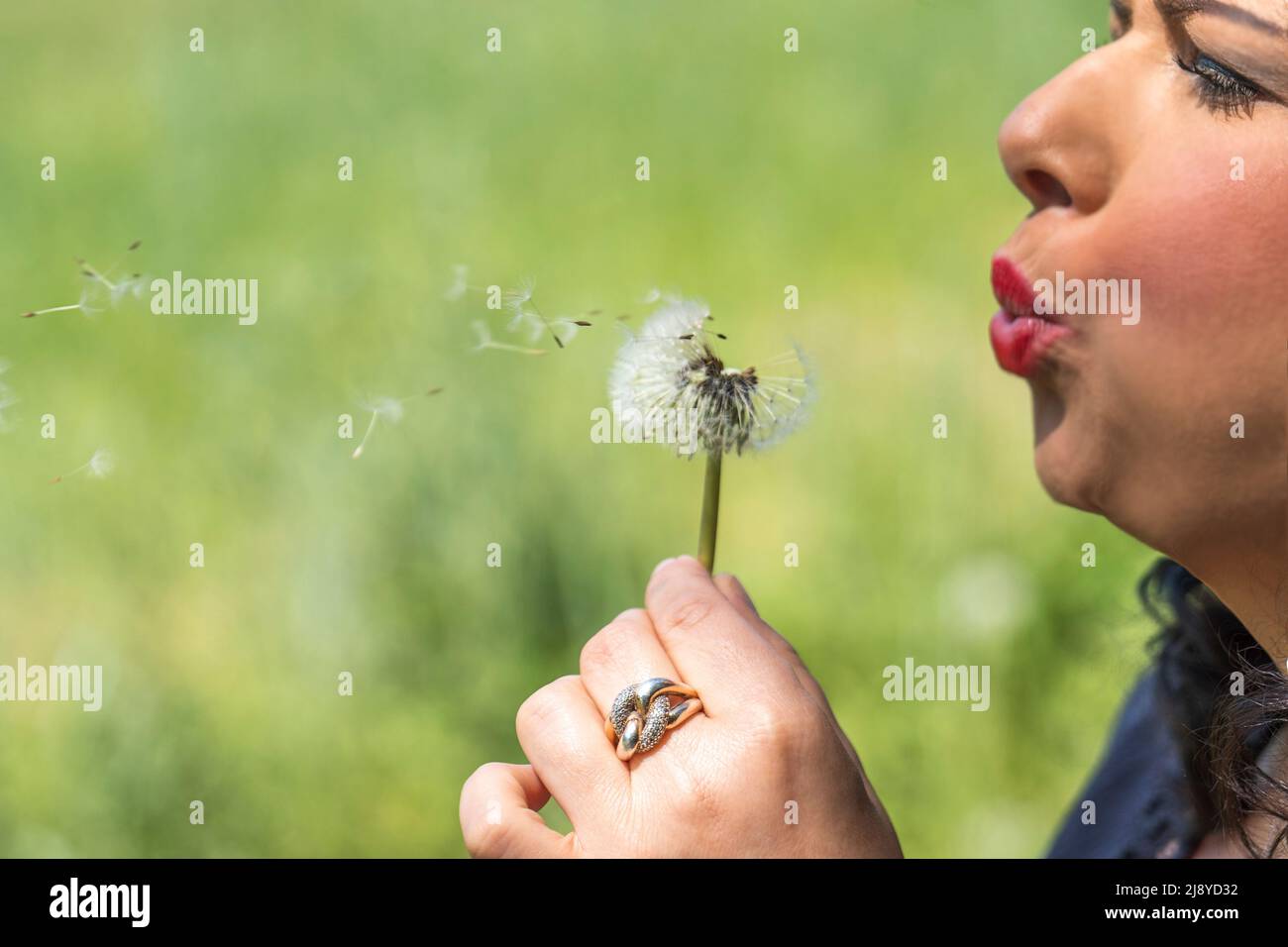 Face of a beautiful woman blowing a dandelion Stock Photo