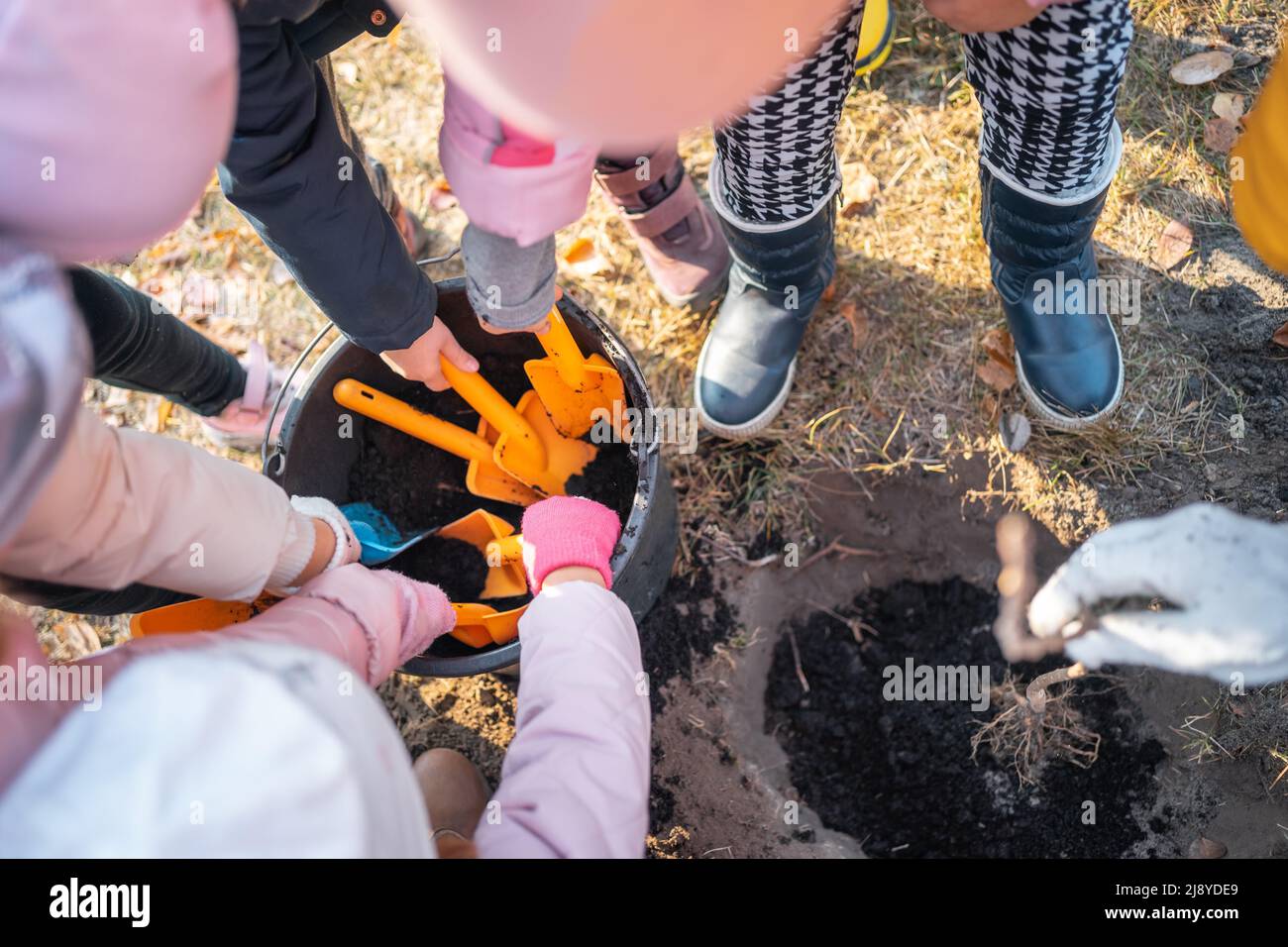 children dig black soil with shovel or help to planting tree sapling outdoor Stock Photo
