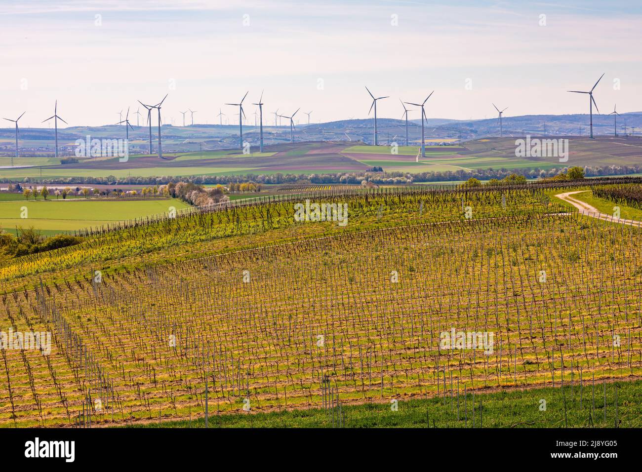 Landscape with agriculture and vineyards in front of wind power plants during the energy crisis Stock Photo