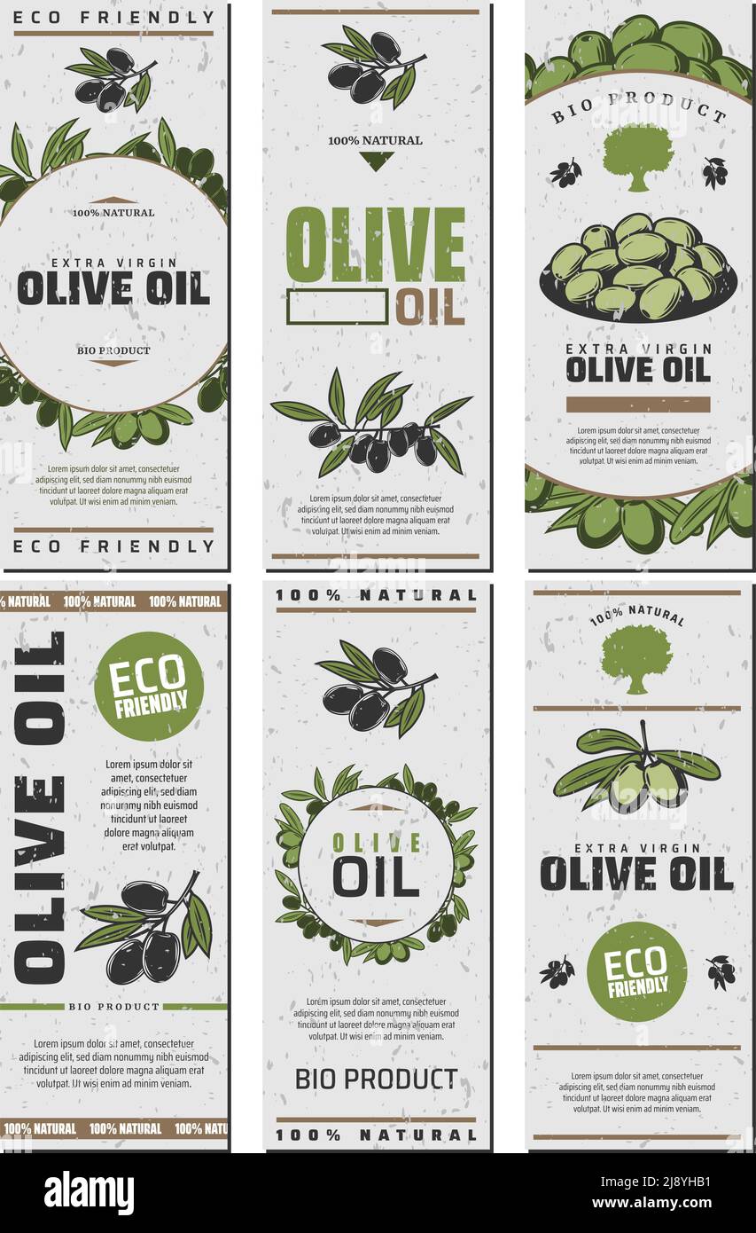 Olive oil packaging templates design set with text green and black olives in vintage style vector illustration Stock Vector