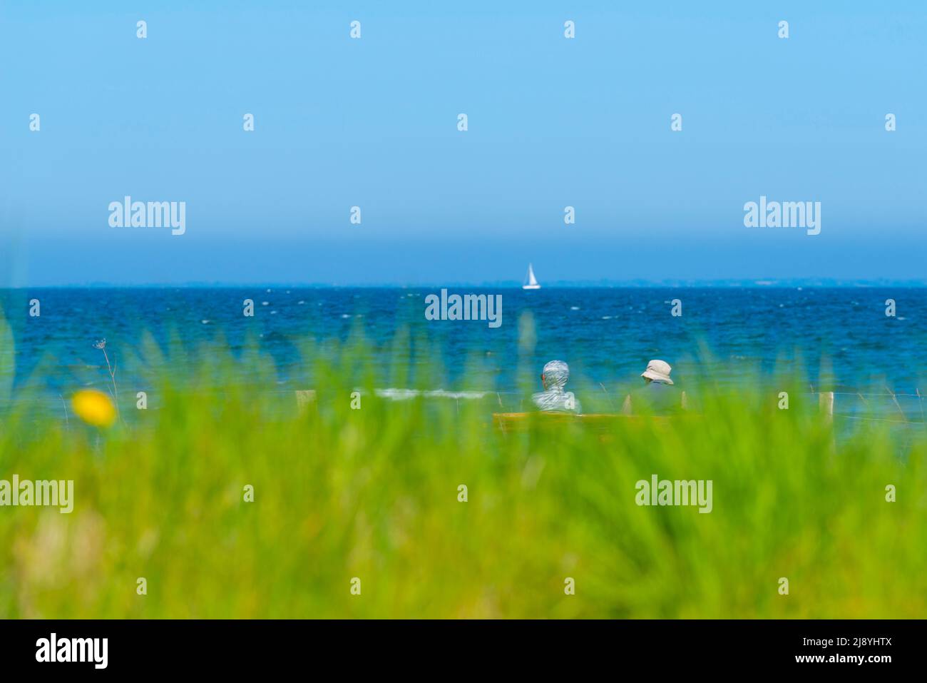 Fantastic view of the Baltic coast, Baltic Sea, Fakshöft, Nieby community, Schleswig-Holstein, Northern Germany, Europe Stock Photo