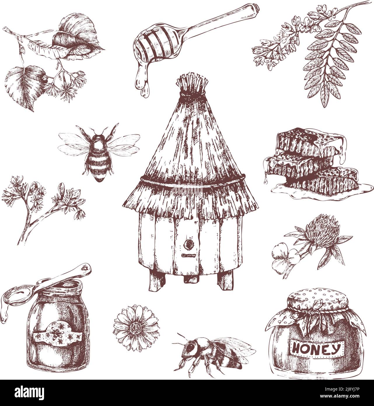 Honey elements hand drawn set with bees and hive combs branches of ...