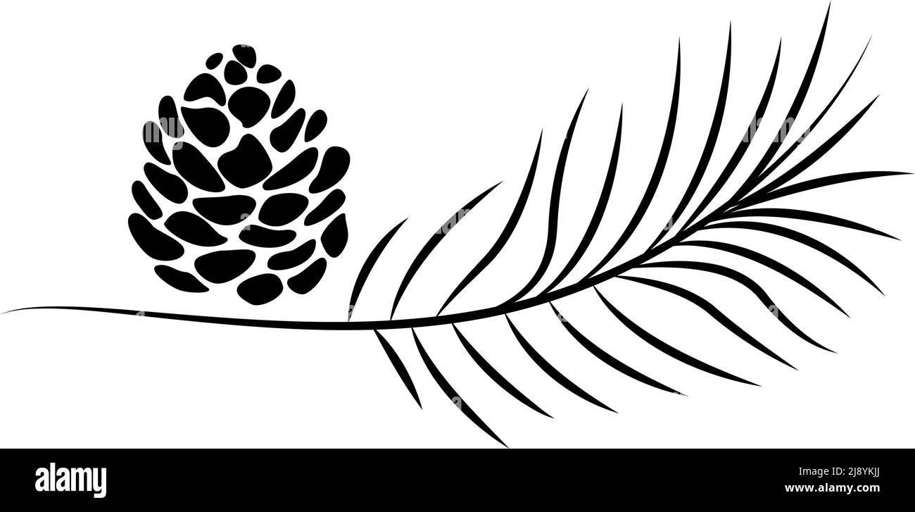 Pine branch and cone. Simple symbolic vector drawing Stock Vector Image ...