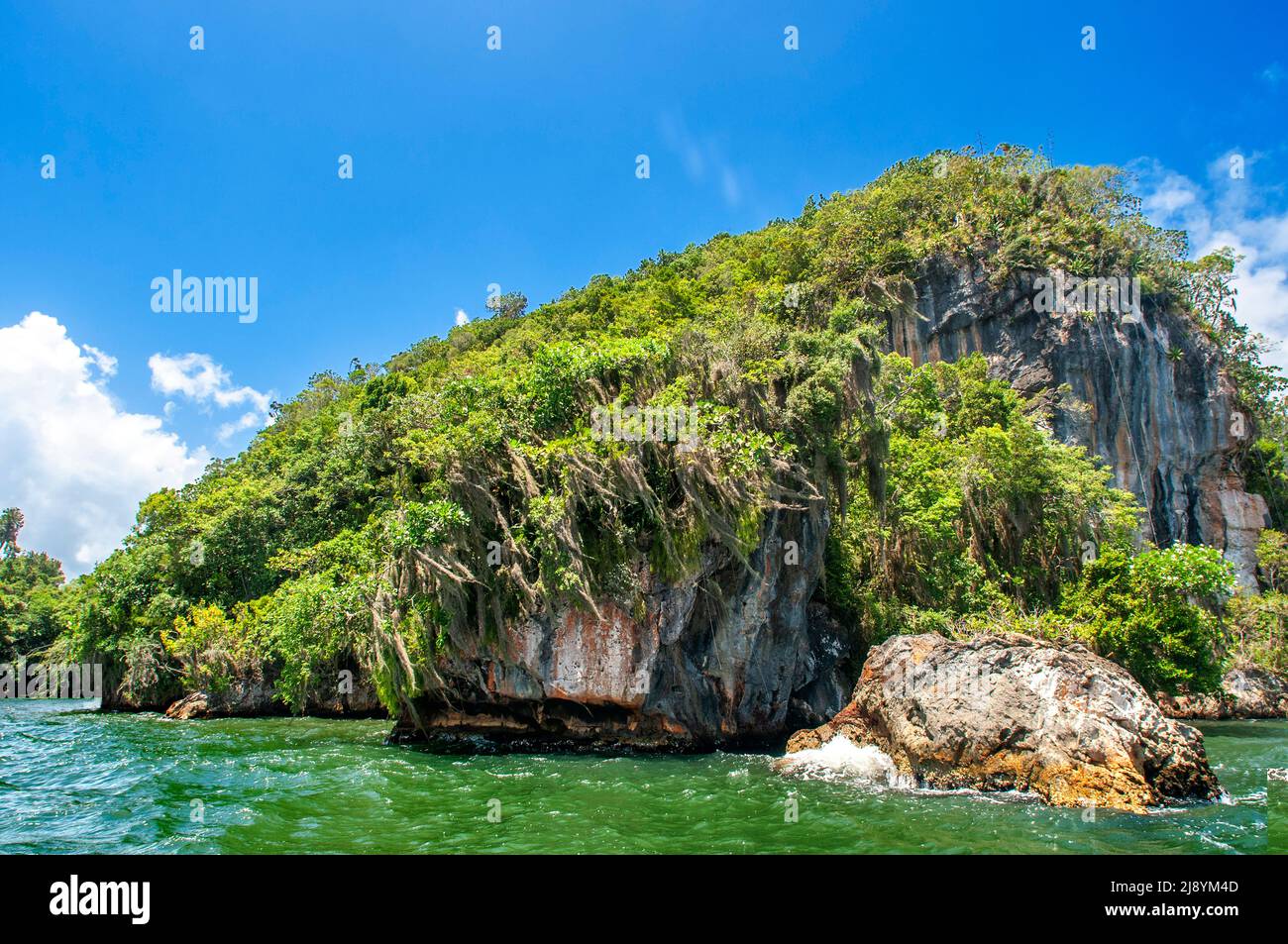 Rainforest, Mangroves. Ecotourism. Los Haitises National Park, Sabana de La Mar, Dominican Republic.  Los Haitises National Park is a national park lo Stock Photo