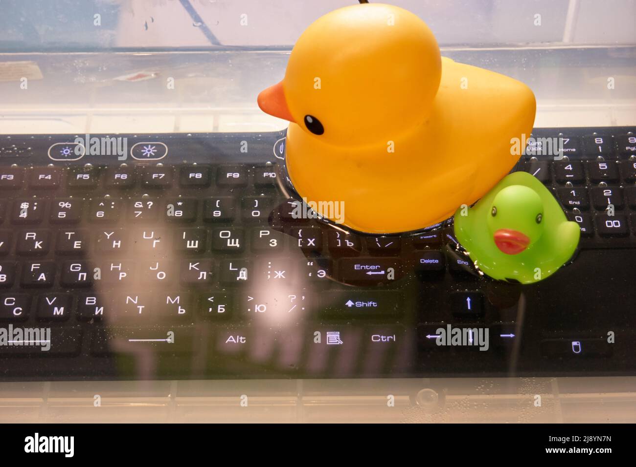 Waterproof underwater keyboard. Floating toy ducks in water. Stock Photo