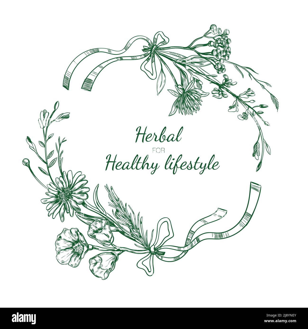 Herbal sketch round frame with flowers medical natural plants and ...