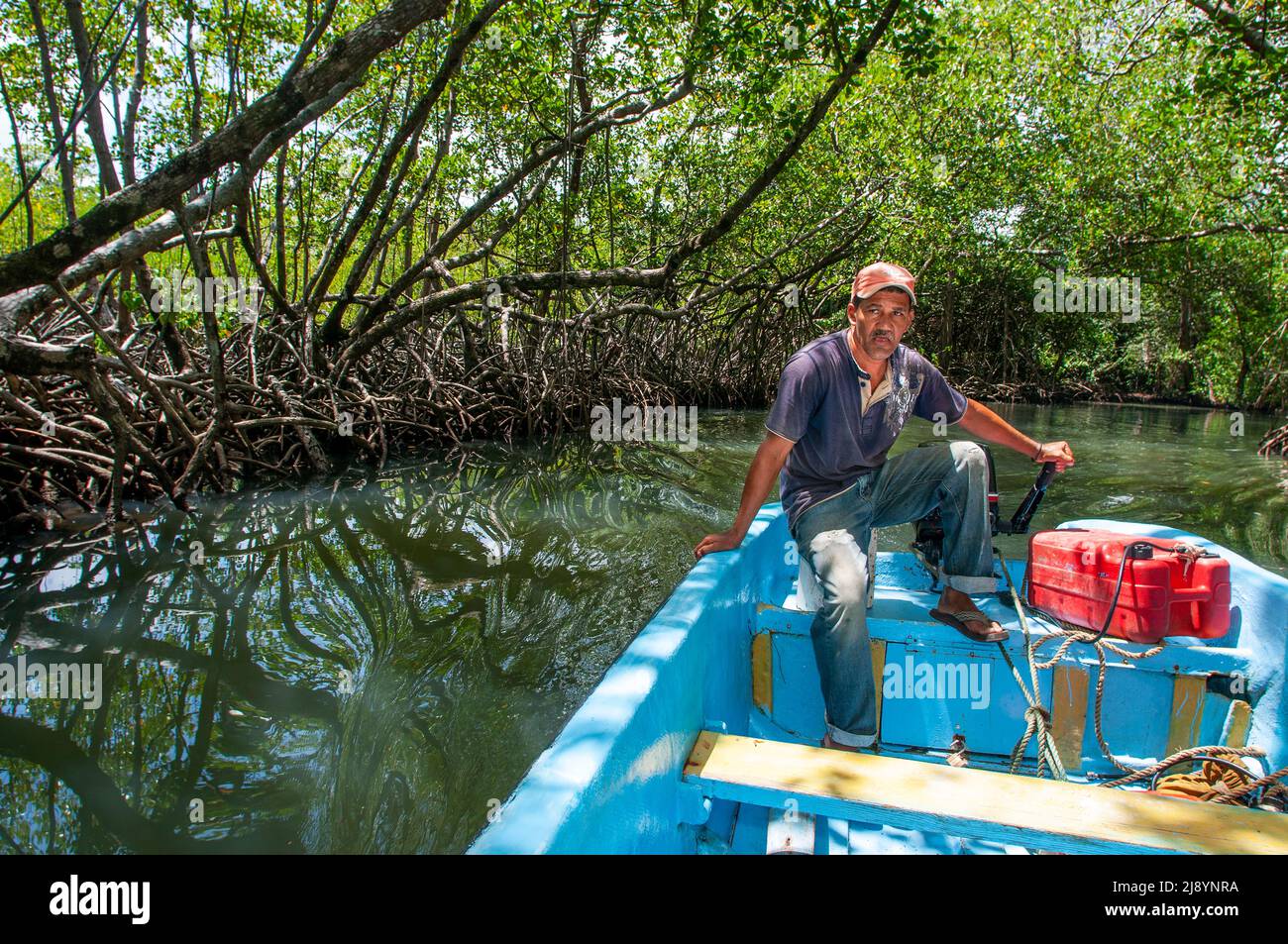 Boat trip in the rainforest, Mangroves. Ecotourism. Los Haitises National Park, Sabana de La Mar, Dominican Republic.  Los Haitises National Park is a Stock Photo