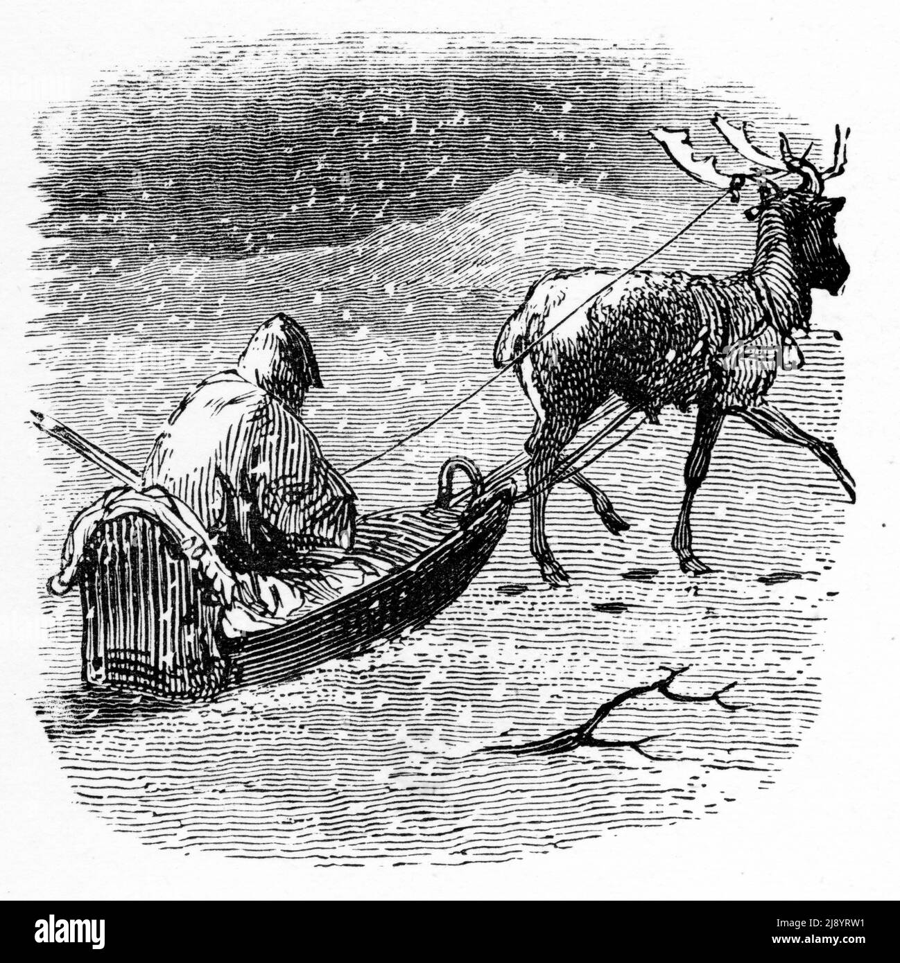 Engraving of a man on a sled being pulled by a reindeer in Lappland, circa 1880 Stock Photo