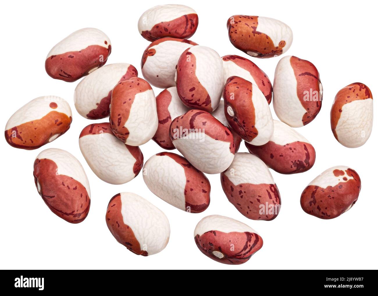 Anasazi beans isolated on white background with clipping path Stock Photo