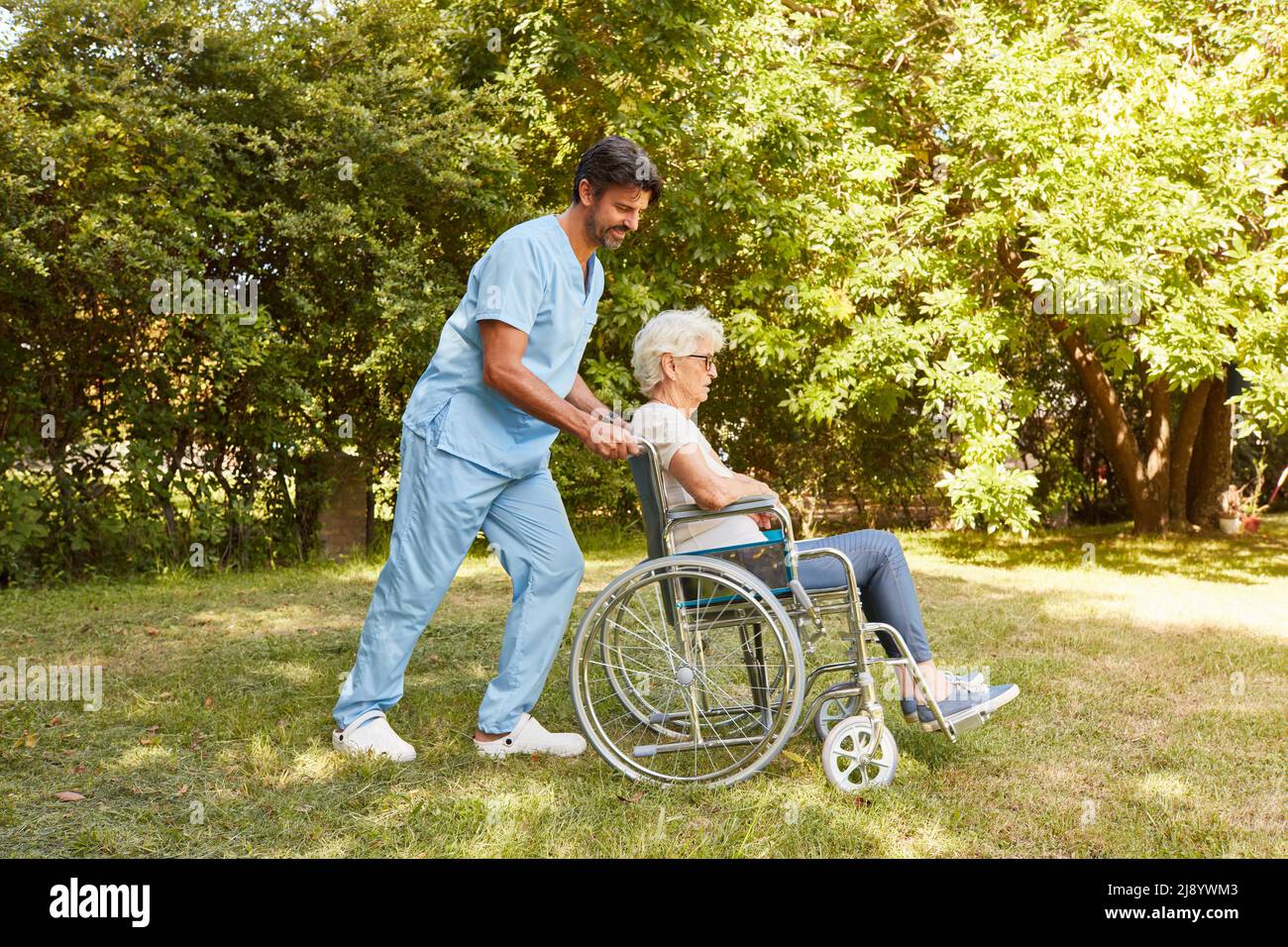Nurse pushes elderly woman in a wheelchair in the garden of the