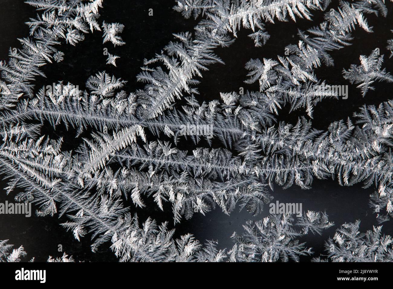 Frozen nature cold wallpaper hi-res stock photography and images - Alamy