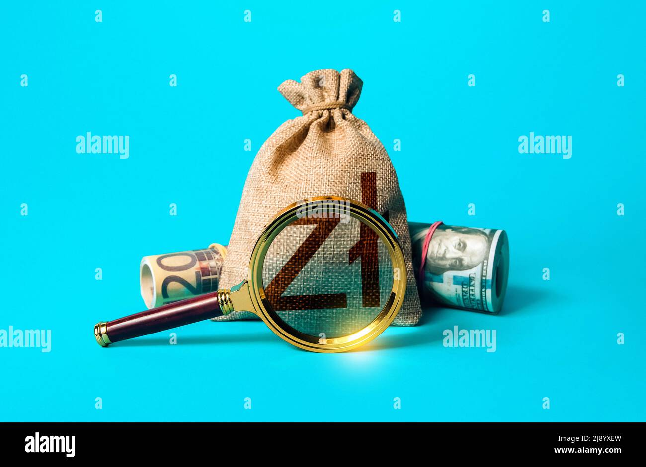 Polish zloty money bag and magnifying glass. Anti money laundering, tax