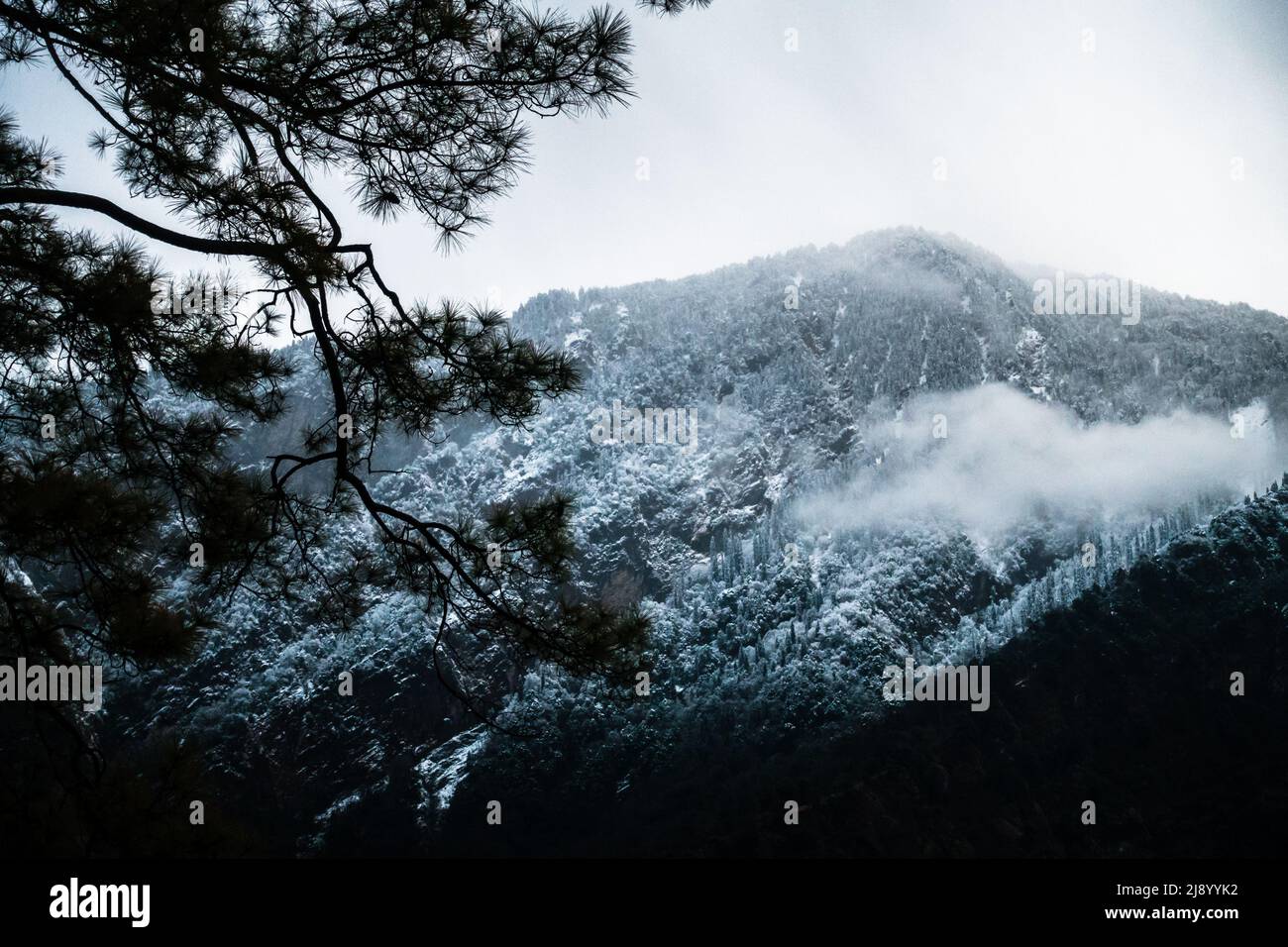 A beautiful shot of Snow covered mountains in the Okhimath district of Chamoli garhwal, Uttrakhand. India. Stock Photo
