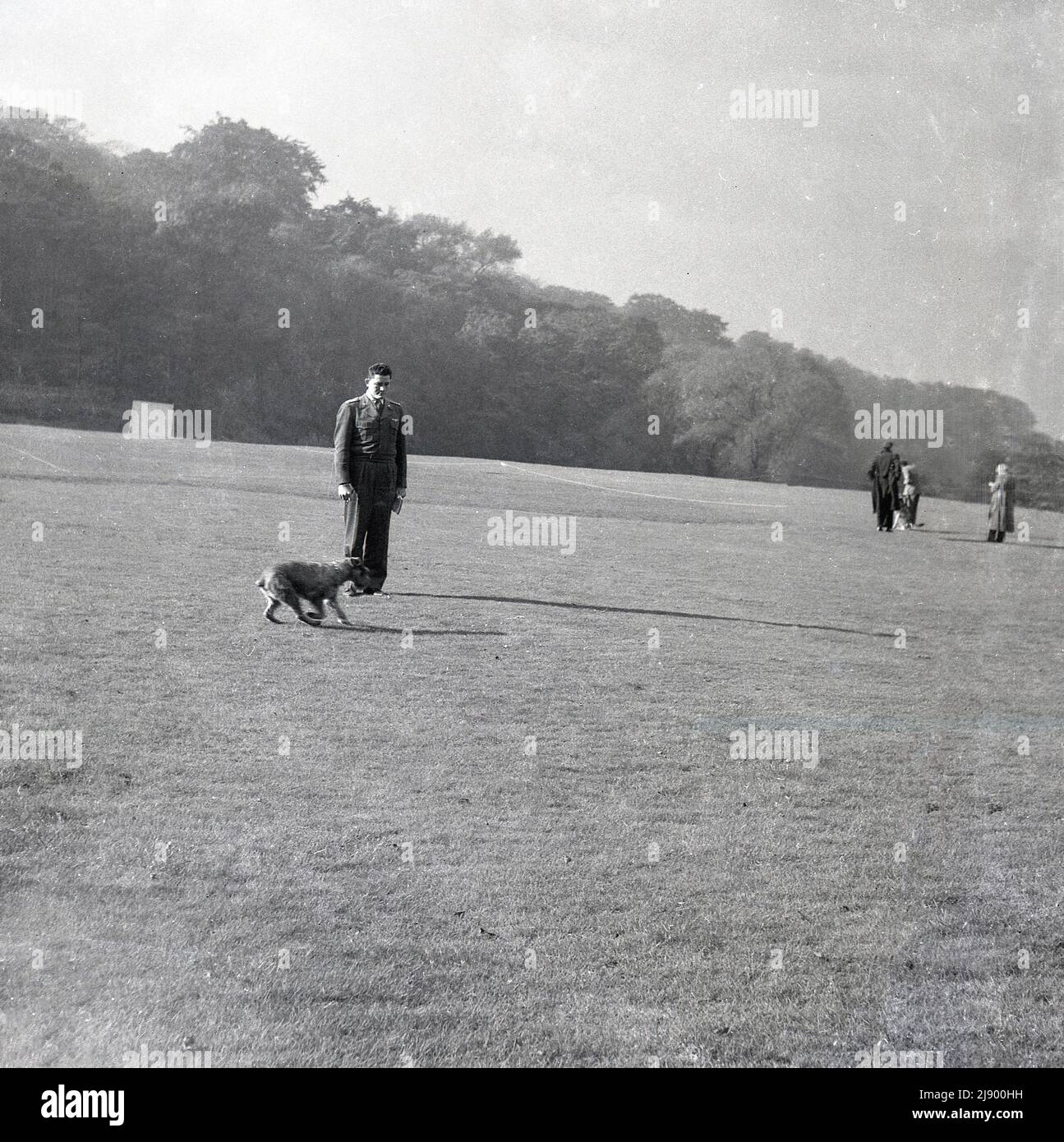 1950s, historical, dog training, a man, in army uniform, outside in a large field with his pet, England, UK. Stock Photo