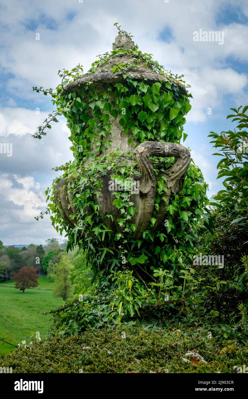 Old ivy covered stone urn or vase Stock Photo