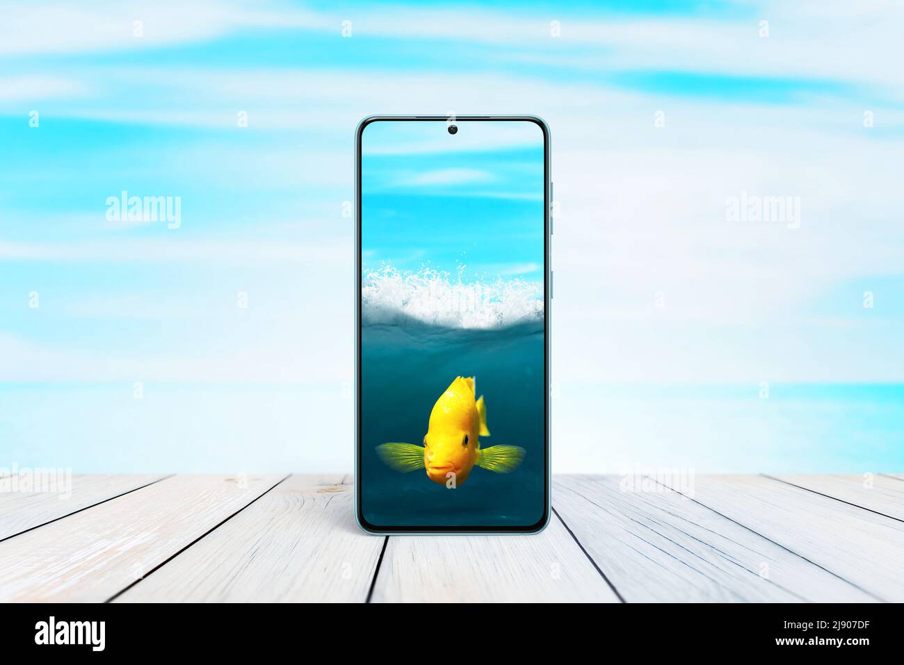 Goldfish in a mobile phone as an aquarium concept. Creative composition with sea and fish in mobile phone Stock Photo