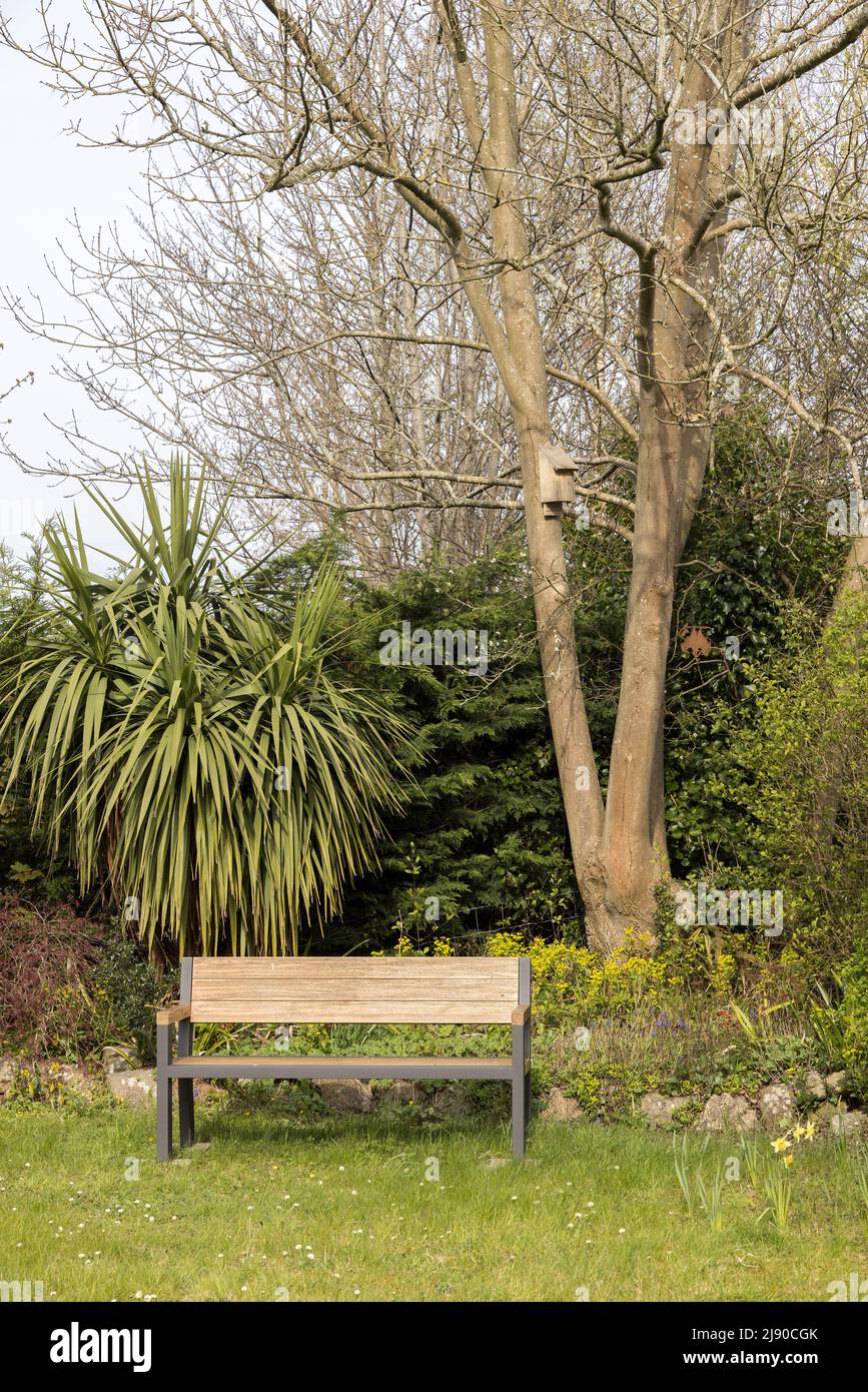 Garden seat under ash tree with bat box, Wales, UK Stock Photo