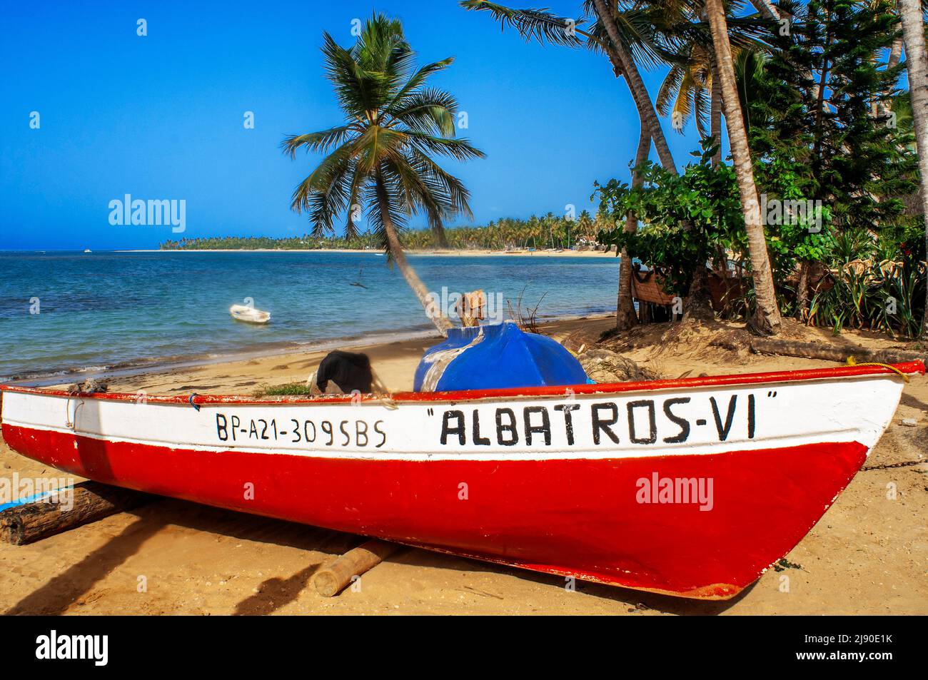 Fisher boat in Las Terrenas beach, Samana, Dominican Republic, Carribean, America. Tropical Caribbean beach with coconut palm trees.  This white-sand Stock Photo