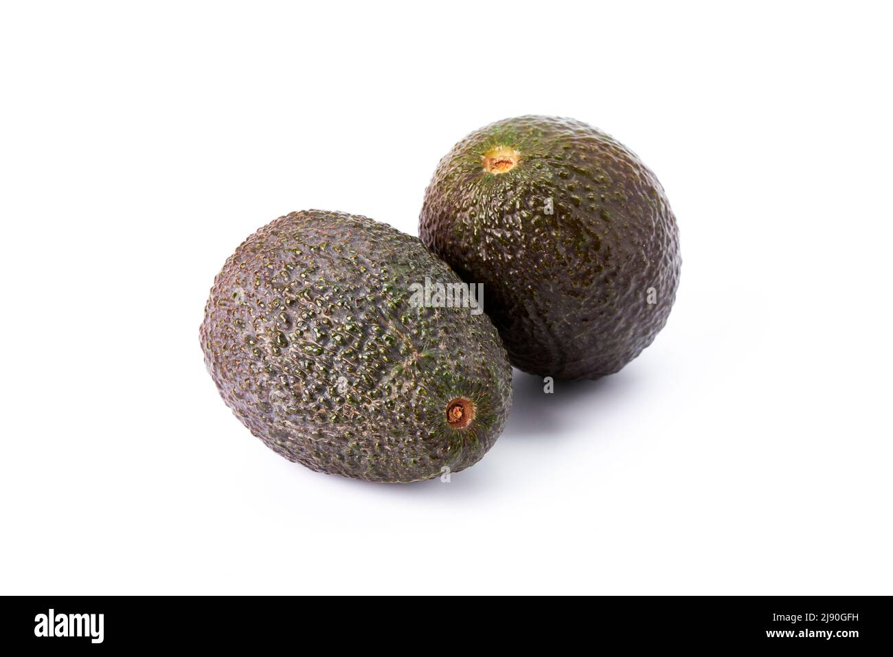 Two organic ripe brown avocados. Tropical and healthy fruits. Vegetarian and vegan meals Stock Photo