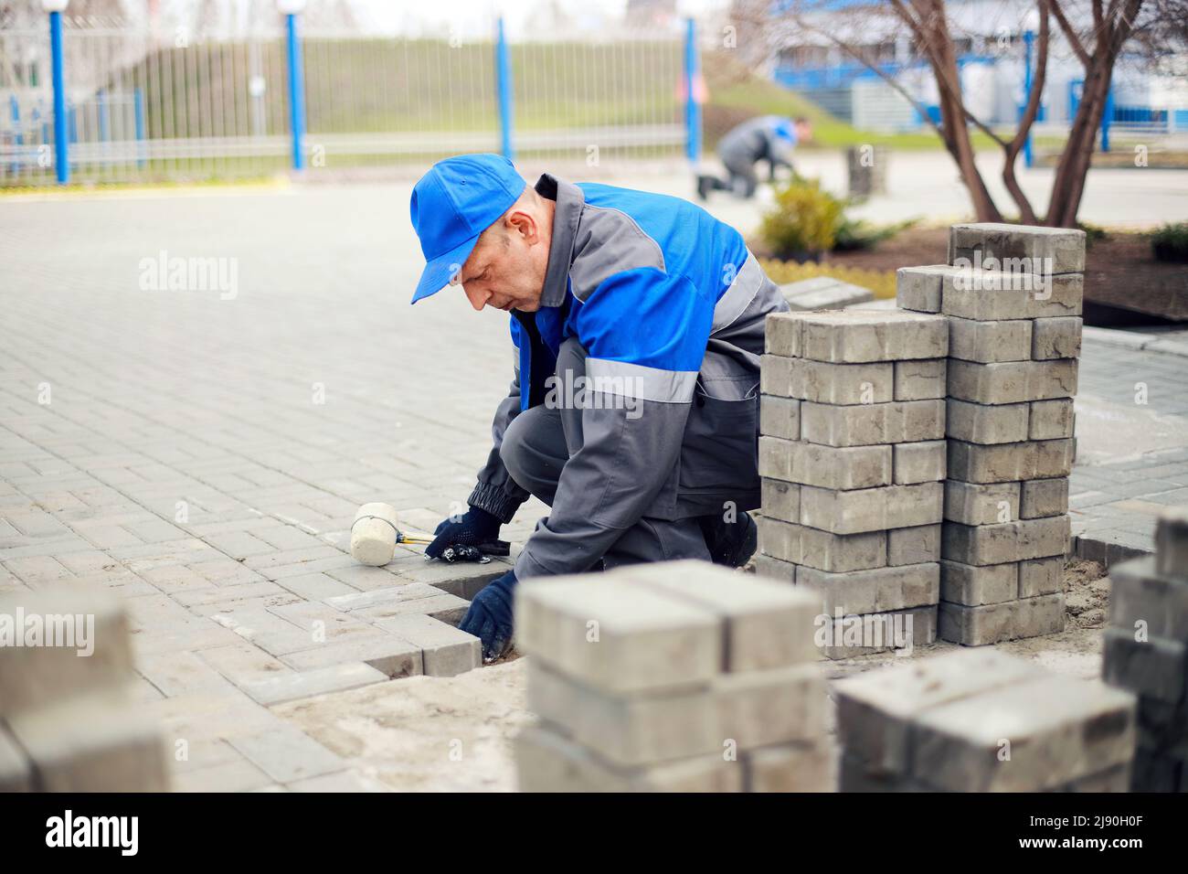 Bricklayer lays paving slabs outside. Working man performs landscaping